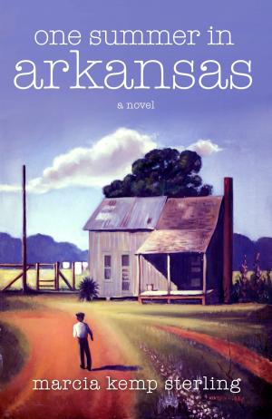 Cover of the book One Summer in Arkansas by Mythandra Fenner
