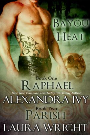 Book cover of Raphael/Parish
