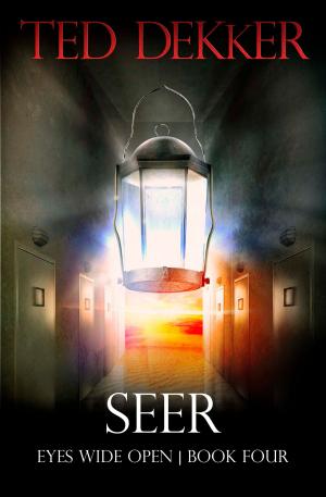 Book cover of Seer (Eyes Wide Open, Book 4)