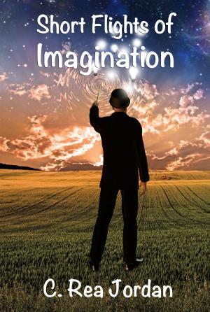 Cover of the book Short Flights of Imagination by Robin Storey