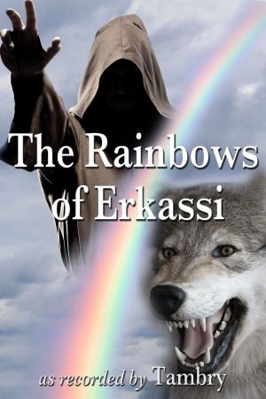 Cover of the book The Rainbows of Erkassi by Douglas Hankins