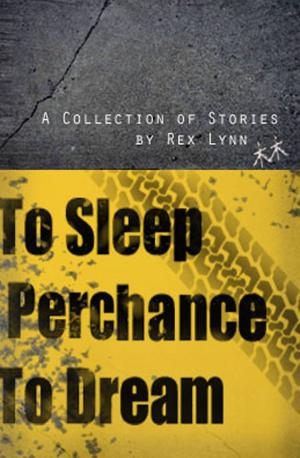 Cover of the book To Sleep Perchance to Dream by PAUL X. WATSON