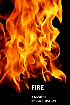 Cover of the book FIRE (ePub) by J Gerard Michaels