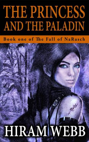 Cover of the book The Princess and the Paladin by Jera Nour
