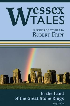 Book cover of Wessex Tales: "In the land of the great stone rings" (Story 5)