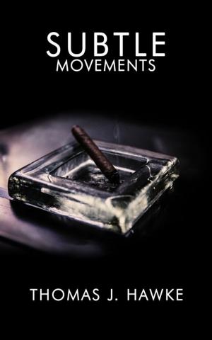 Cover of the book Subtle Movements by C.S. Maynard