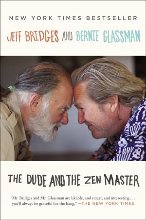 Cover of the book The Dude and the Zen Master by Andre Iguodala