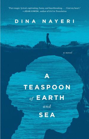 Cover of the book A Teaspoon of Earth and Sea by Kali Wallace