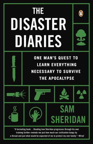 Cover of the book The Disaster Diaries by Joyce and Jim Lavene