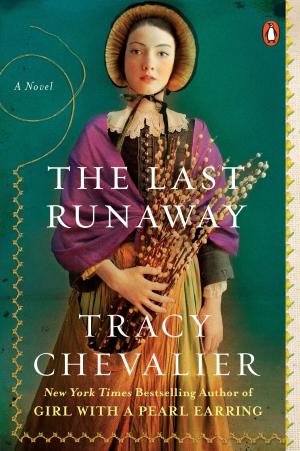 Cover of the book The Last Runaway by Erin Wilcox
