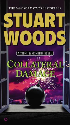 Cover of the book Collateral Damage by Nancy Atherton