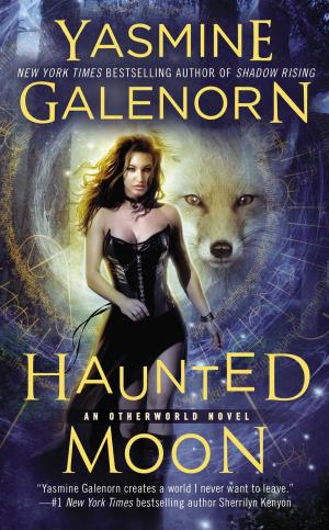 Cover of the book Haunted Moon by corey turner