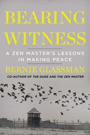 Cover of the book Bearing Witness by David McRaney