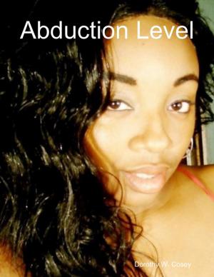 Cover of the book Abduction Level by Midwestern Gothic