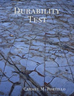 Book cover of Durability Test