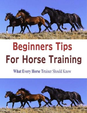 Cover of the book Beginners Tips for Horse Training: What Every Horse Trainer Should Know by Tony Kelbrat