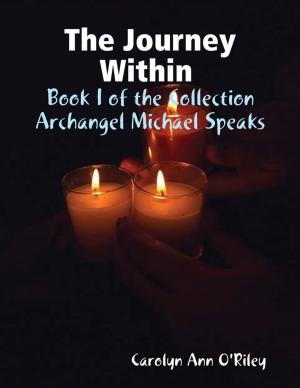 Cover of the book The Journey Within Book I of the Collection Archangel Michael Speaks by Bercelin Louiny