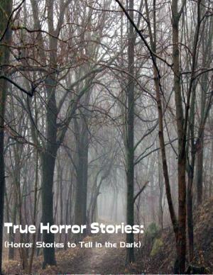 Cover of the book True Horror Stories: (Horror Stories to Tell In the Dark) by Robert Stetson