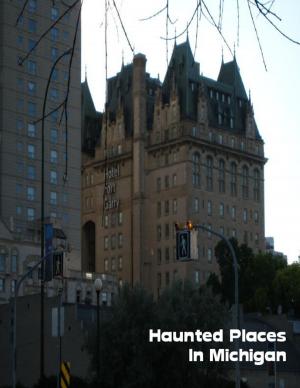Cover of the book Haunted Places In Michigan by William Petri