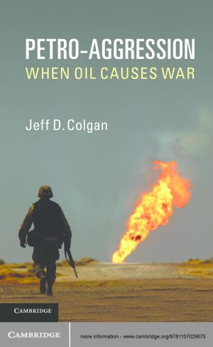 Cover of the book Petro-Aggression by Coryn A. L. Bailer-Jones