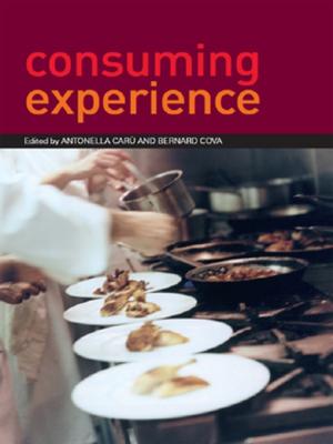 Cover of the book Consuming Experience by Travis Hirschi, Hanan C. Selvin