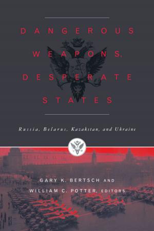 Cover of the book Dangerous Weapons, Desperate States by David Engel