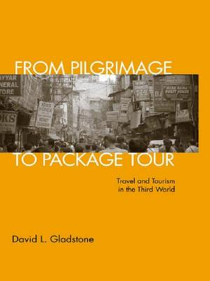 Cover of the book From Pilgrimage to Package Tour by Stiina Loytomaki