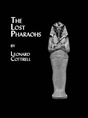 Cover of the book Lost Pharaohs by Anastasia Vakulenko