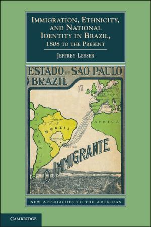 Book cover of Immigration, Ethnicity, and National Identity in Brazil, 1808 to the Present