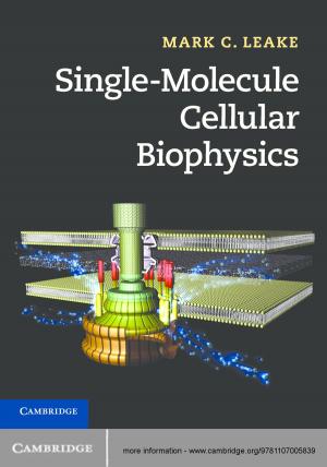 Cover of the book Single-Molecule Cellular Biophysics by Maciej J. Capiński, Tomasz Zastawniak