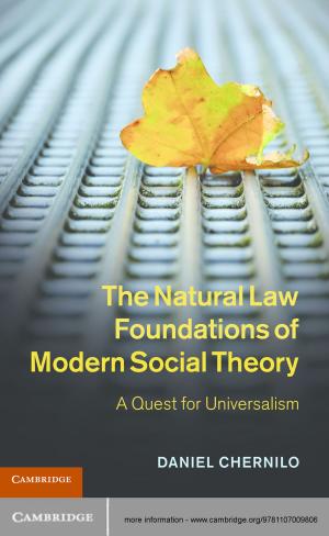 Cover of the book The Natural Law Foundations of Modern Social Theory by George Morton-Jack