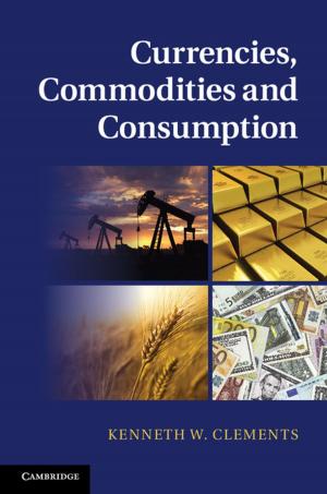 Cover of the book Currencies, Commodities and Consumption by Yellowlees Douglas, Maria B. Grant