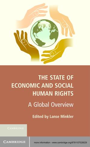 Cover of the book The State of Economic and Social Human Rights by Jacqueline P. Leighton, Mark J. Gierl