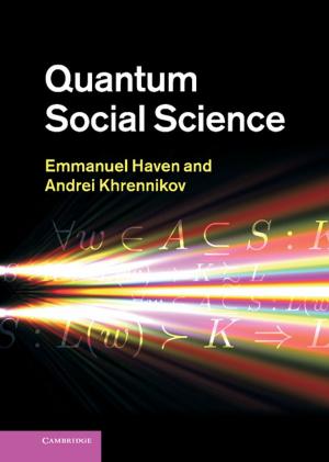 Cover of the book Quantum Social Science by Anna Harwell Celenza