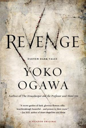 Book cover of Revenge