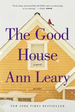 Cover of the book The Good House by Patricia Scanlan