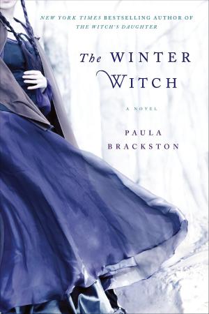 Cover of the book The Winter Witch by Karin Salvalaggio
