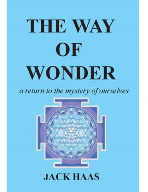 Cover of the book The Way of Wonder: A Return to the Mystery of Ourselves by Roberto Miguel Rodriguez
