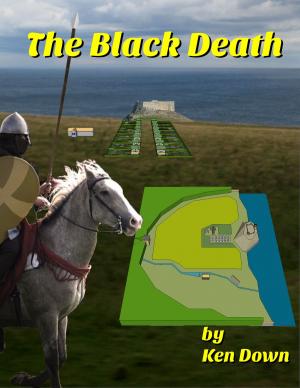 Cover of the book The Black Death by Judi Suni Hall