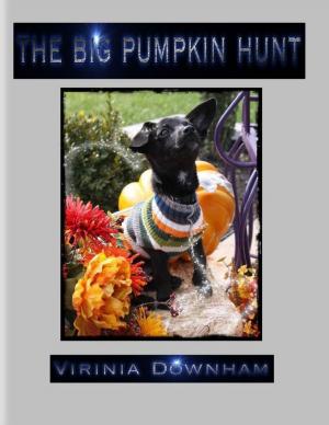Book cover of The Big Pumpkin Hunt