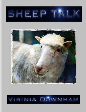 Cover of the book Sheep Talk by Daniel Blue