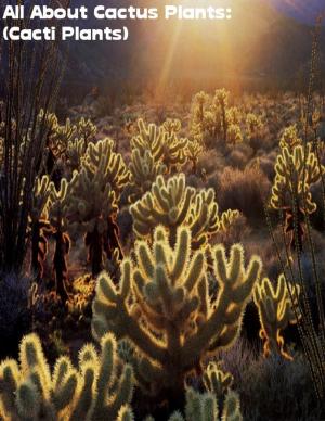 Cover of the book All About Cactus Plants: (Cacti Plants) by Cecil Cory