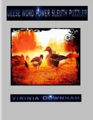 Book cover of Geese Word Power Sleuth Puzzler