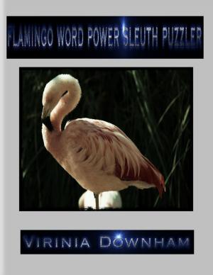 Cover of the book Flamingo Word Power Sleuth Puzzler by Niousha Ezati