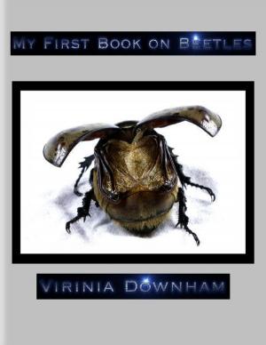 Cover of the book My First Book on Beetles by James Ferace