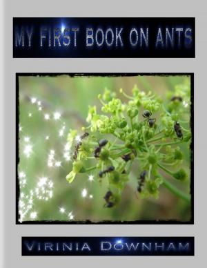 Cover of the book My First Book on Ants by Alex Manfield (ND), Kate Johnson (ND)