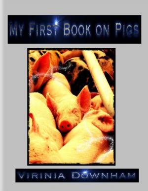 Cover of the book My First Book on Pigs by Matthew Macarty