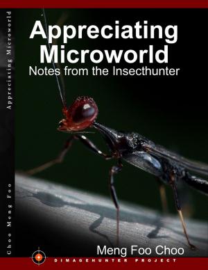 bigCover of the book Appreciating Microworld: Notes from the Insecthunter by 
