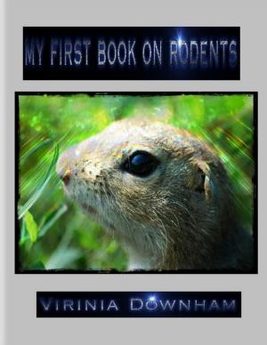 Book cover of My First Book on Rodents
