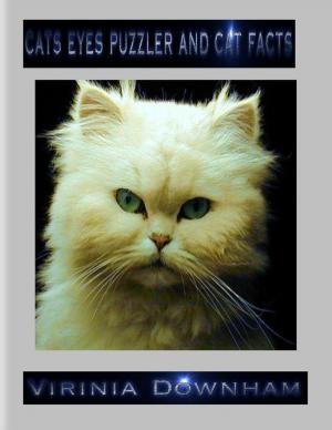Cover of the book Cats Eyes Puzzler and Cat Facts by Wildrine Sante